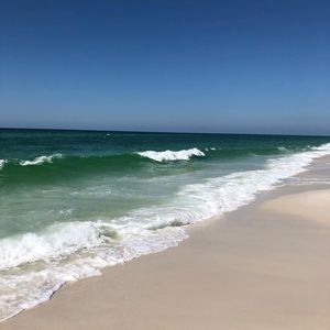 Meet your Posher, Maggie